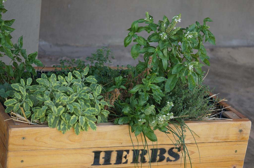 Vakantieboerderij Kwetu Guest Farm Swellendam